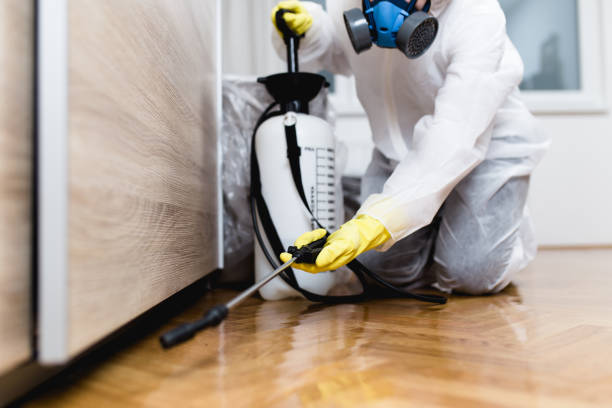 Best Affordable Pest Control Services  in Ocean Pines, MD