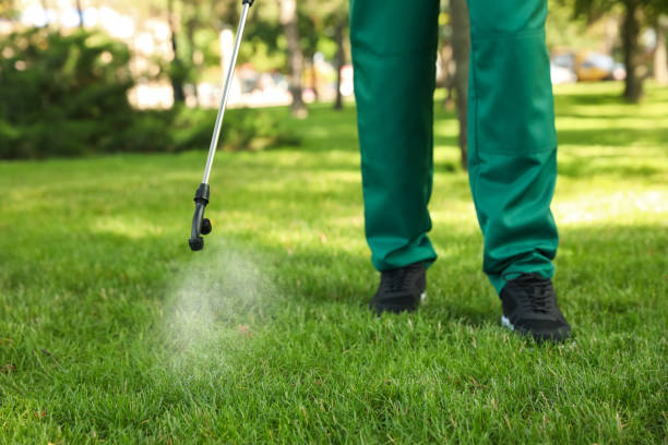 Best Pest Inspection Near Me  in Ocean Pines, MD