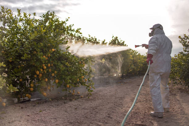 Best Cockroach Control Services  in Ocean Pines, MD