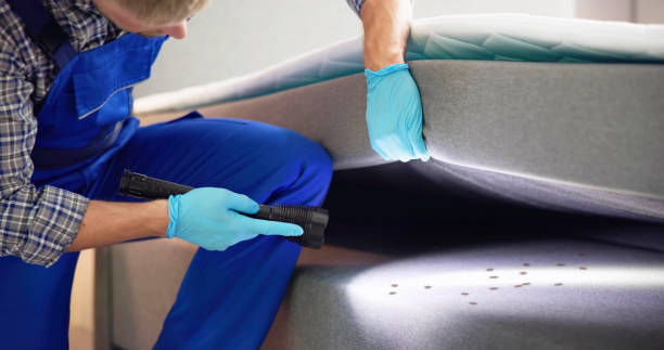 Best Flea Control Services  in Ocean Pines, MD