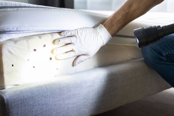 Best Pest Removal Services  in Ocean Pines, MD